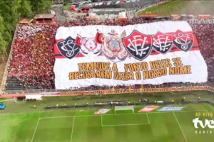 Vitória confirma venda de ingresso para o Athletico; confira o preço