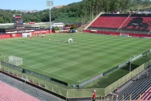 Vitória tem Palmeiras ou Santos no caminho até a final; veja